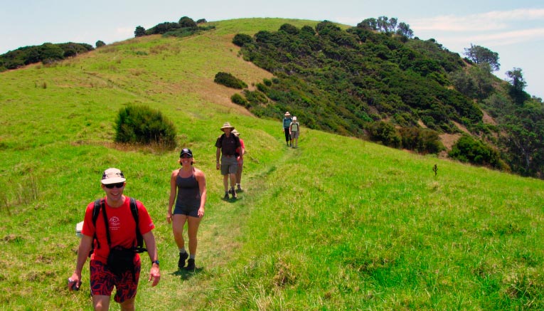 Mnzif-new-zealand-multisport-15